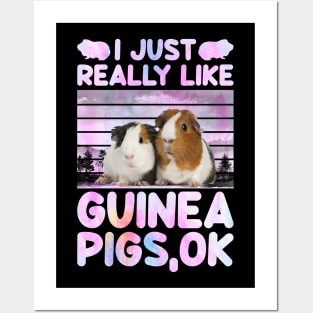 I Just Really Like Guinea Pigs Ok Posters and Art